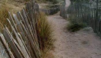 'Path through sand dunes at Bantham Beach'. Photographer Iain Pointer, Devon.
