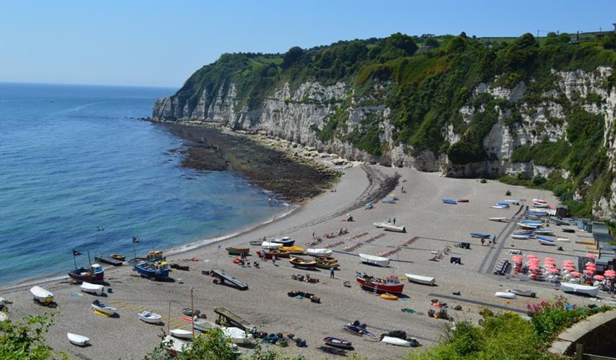 Beer Beach. Image taken from the Cliffs