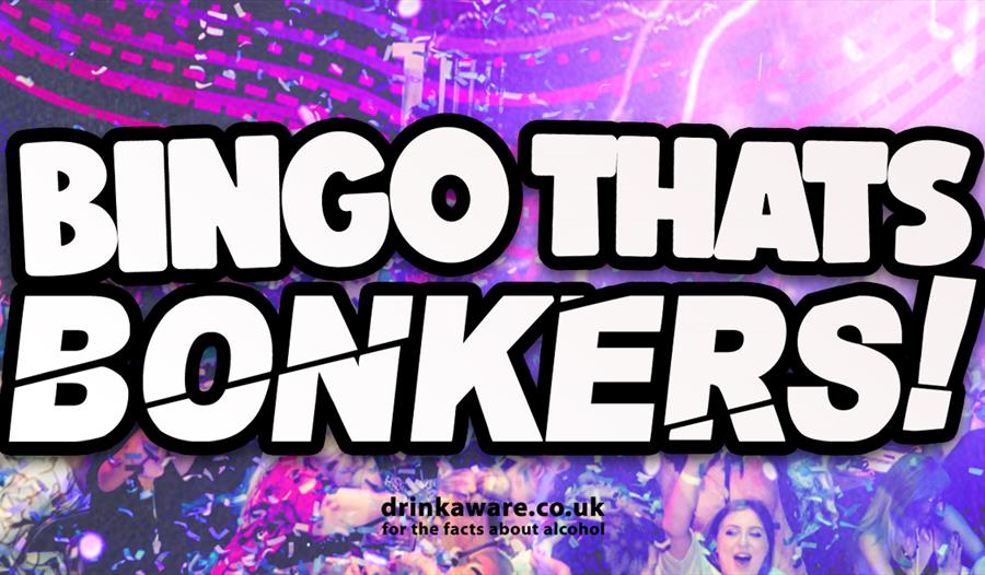 Party scene. Text reads "Bingo That's Bonkers! drinkaware.co.uk for the facts about alcohol"
