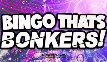 Party scene. Text reads "Bingo That's Bonkers! drinkaware.co.uk for the facts about alcohol"