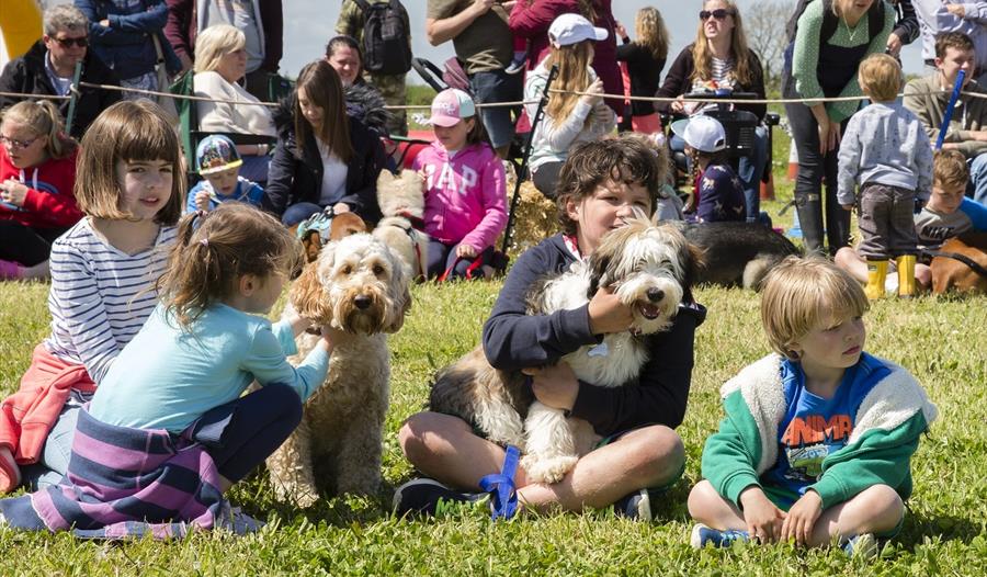 Children and their dogs enjoy spring family fun day