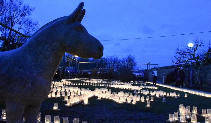 Donkey statue illuminated by lots of candles