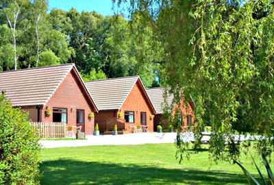 Premier | 4 person and delightful grounds at Alpine Park Cottages