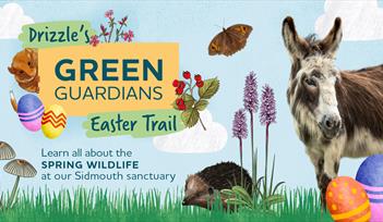 illustrated wildlife with coloured easter eggs set on green hills