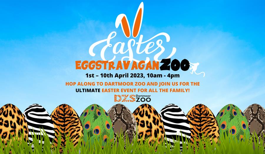 Dartmoor Zoo East Event