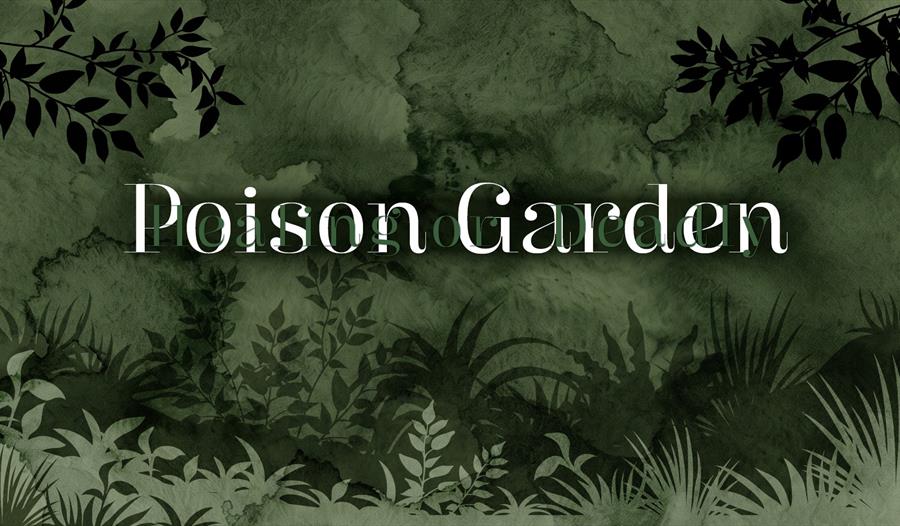 Exhibition Header Exhibition Header