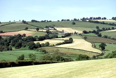 Exe Valley view
