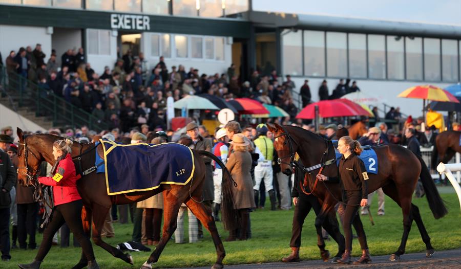 Horses parade through the paddock before racing as crowds gather for a festive afternoon of jump racing at Exeter Racecourse. Horses parade through the paddock before racing as crowds gather for a festive afternoon of jump racing at Exeter Racecourse.