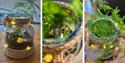 Kids will love this workshop designed to help you make a Fairy Terrarium, with optional Night Light