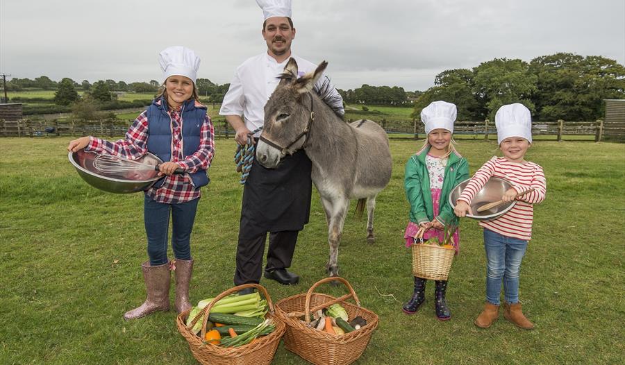 Children preparing for fun food activities at The Donkey Sanctuary Family Food Fair