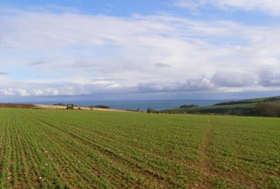 Fields and the Sea from Coleridge Cross