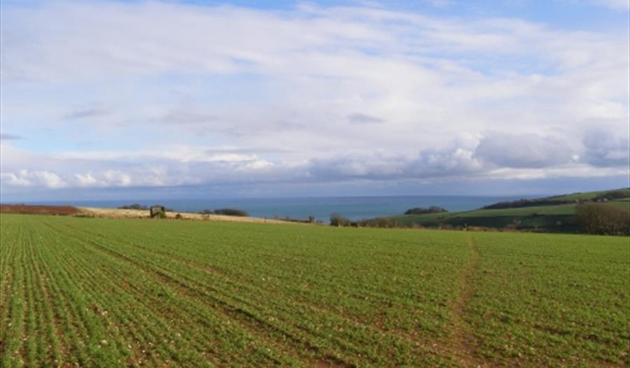 Fields and the Sea from Coleridge Cross