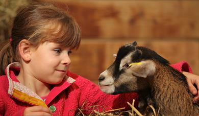 Child with a goat