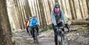 Group of cyclists in the forest