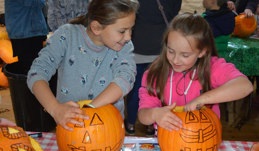 Children enjoy carving pumpkins during Halloween Half Term at The Donkey Sanctuary