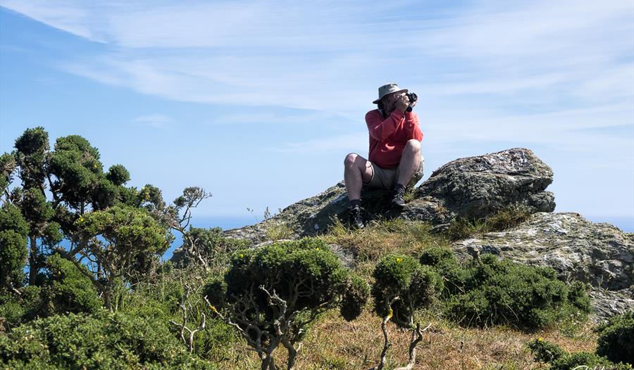 Photography walk Photography walk