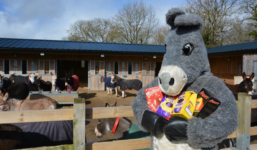 Lucky the Easter donkey joins in the Easter Holiday Hunt