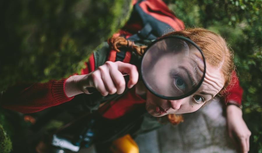 Explorer with Magnifying Glass