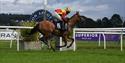 Newton Abbot Racecourse - Winning Post Horse