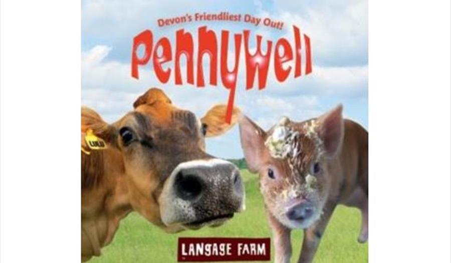 Mothers Day at Pennywell Farm