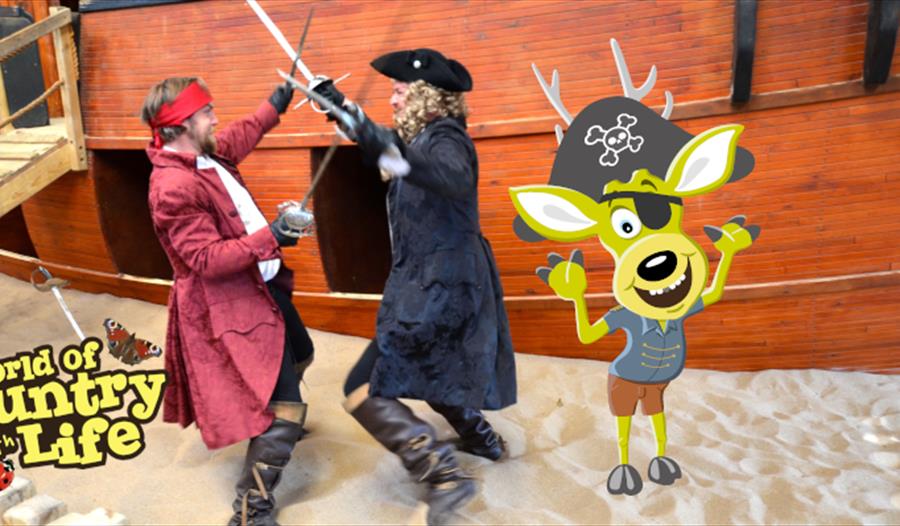May Half Term Pirate Week at World of Country Life Exmouth Devon