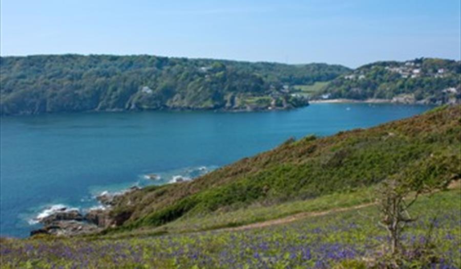 Salcombe Estuary taken from the Coastal Path between East Portlemouth & Gara Rock. Bluebell Time & Tide wait for no man, only nature. Photographer Mic