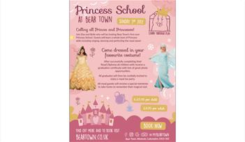Bear Town Princess School