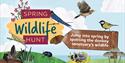 illustrated wildlife on green hills with spring signpost