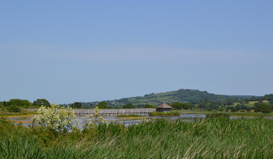 Seaton Wetlands