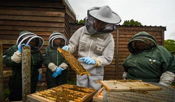 1 Day Beginners Beekeeping Course