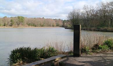 Stover Country Park 