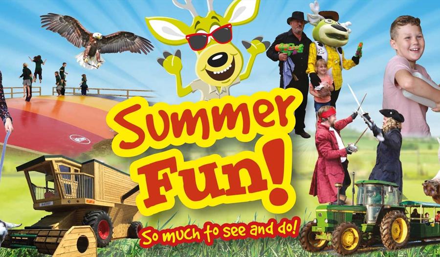 Summer Holiday Fun at World of Country Life, Exmouth, Devon
