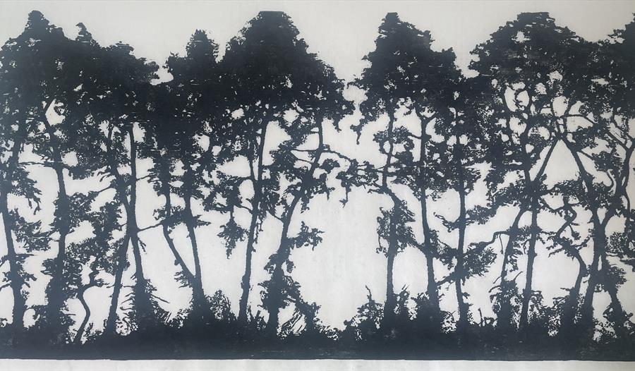 Tall Pines Tall Pines