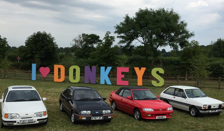 XRS exhibiting at The Donkey Sanctuary Car Show