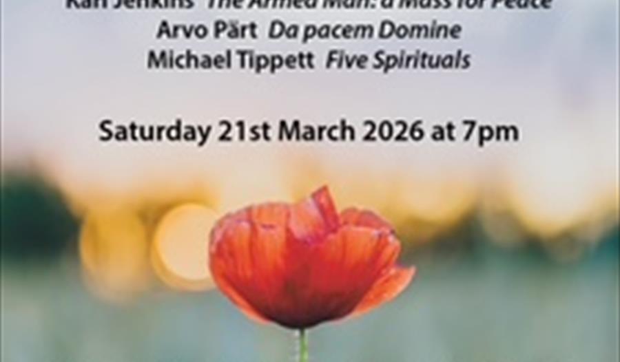 Visions of Peace concert Visions of Peace concert