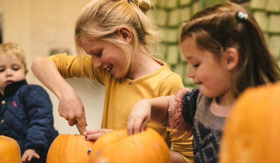 Children enjoy carving spooky pumpkins for Halloween at The Donkey Sanctuary