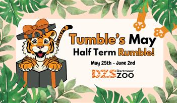 Tumble's May Half Term Rumble!
