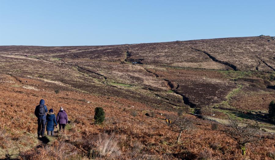 Dartmoor Sunlight Dartmoor Sunlight