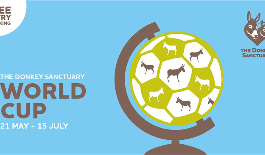 Who will lift the trophy in The Donkey Sanctuary World Cup?