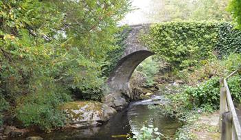 Ivybridge, Dartmoor