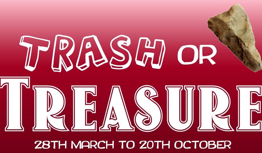 Trash or Treasure poster