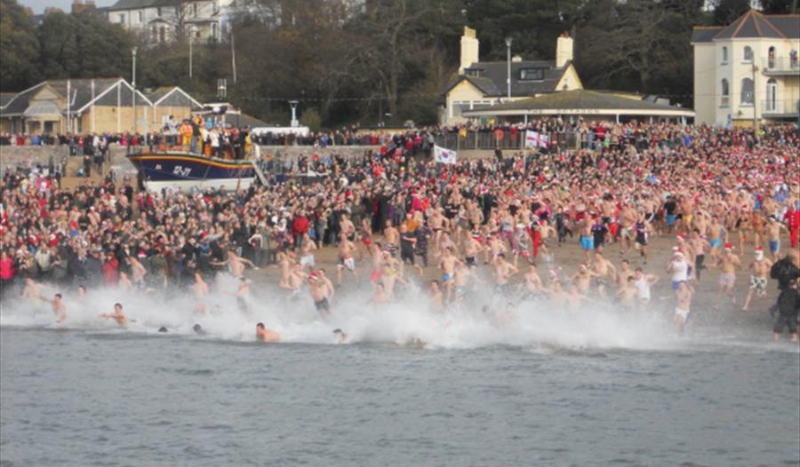Get the BEST view of the Christmas Day Swim