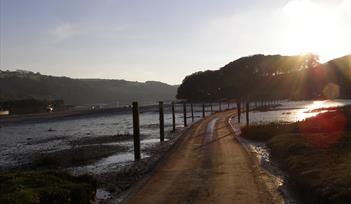 Photo of tidal road, Avon estuary