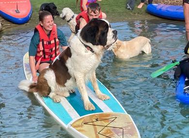 Pups on SUPs at Action Watersports in Kent