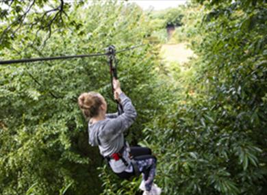 Go Ape Leeds Castle