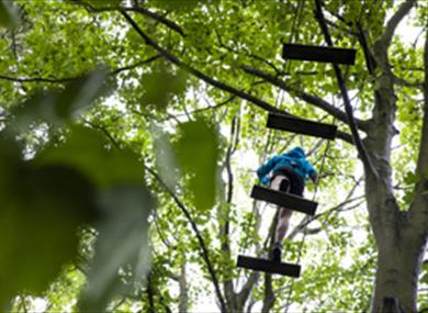 Child taking on the high ropes challenge at Leeds Castle Go Ape