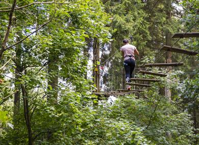 Go Ape in the South East