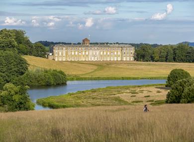 Petworth House and Park