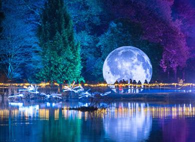 Leonardslee Lights - festive illuminations trail in West Sussex