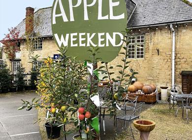 Apple Weekend